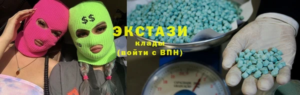 гидра Новодвинск