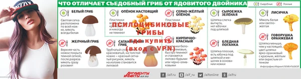 apvp Нея