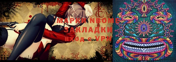 МДПВ Новозыбков