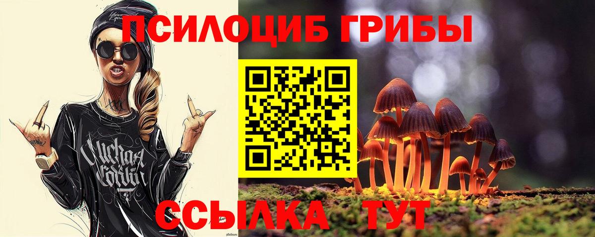 Галлюциногенные грибы Psilocybe  Шуя  Галлюциногенные грибы Psilocybine cubensis 