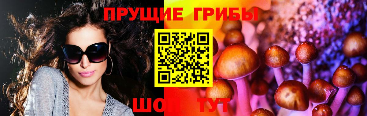 Шуя  Галлюциногенные грибы мицелий  Вход с VPN  хочу   Псилоцибиновые грибы MAGIC MUSHROOMS 