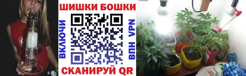 Бошки марихуана THC 21%  Шуя 