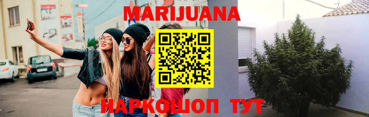 Бошки марихуана SATIVA & INDICA  Вход с VPN  Бошки марихуана гибрид  Каннабис THC 21%  Шуя 
